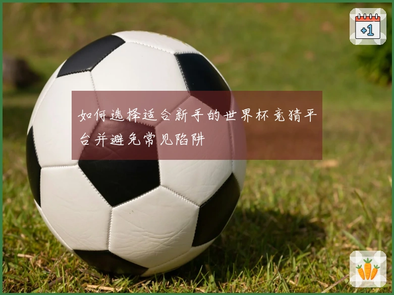 如何选择适合新手的世界杯竞猜平台并避免常见陷阱