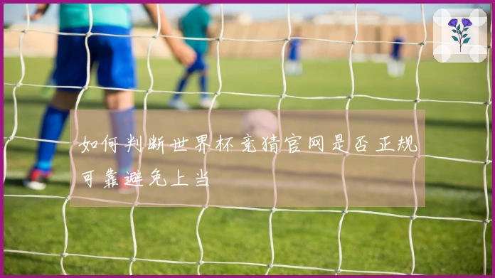 如何判断世界杯竞猜官网是否正规可靠避免上当